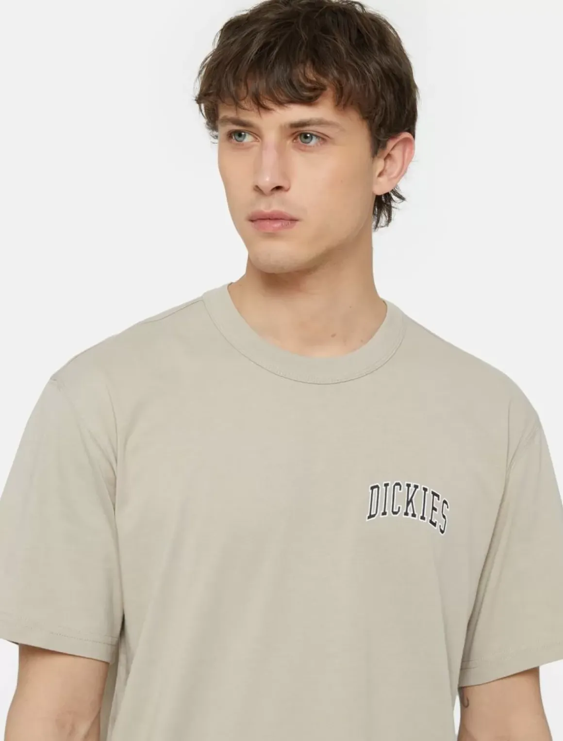 Dickies T-Shirts*Aitkin Chest Logo Short Sleeve T-Shirt