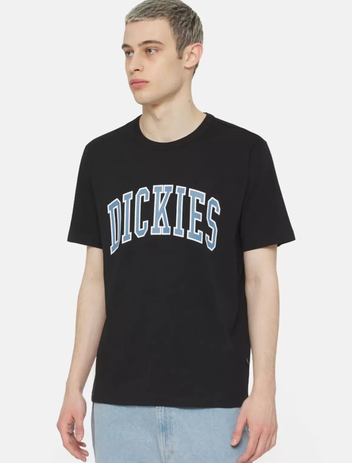 Dickies T-Shirts*Aitkin Short Sleeve T-Shirt
