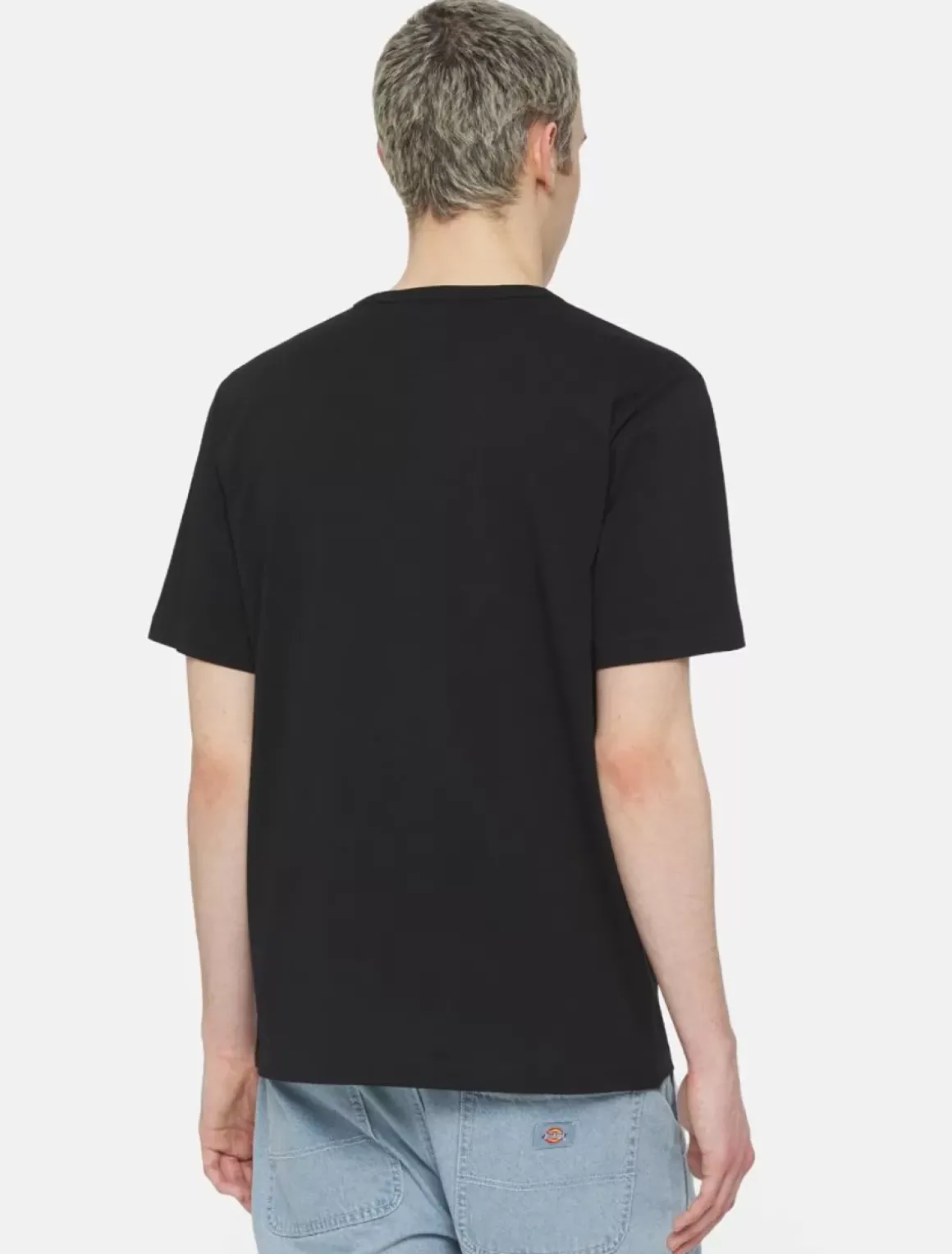 Dickies T-Shirts*Aitkin Short Sleeve T-Shirt