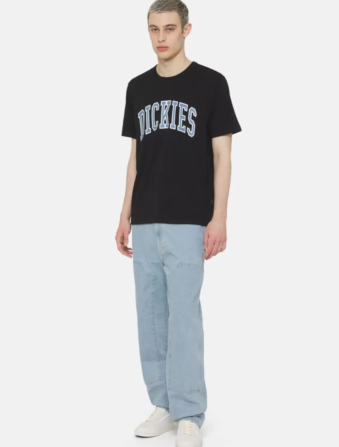 Dickies T-Shirts*Aitkin Short Sleeve T-Shirt