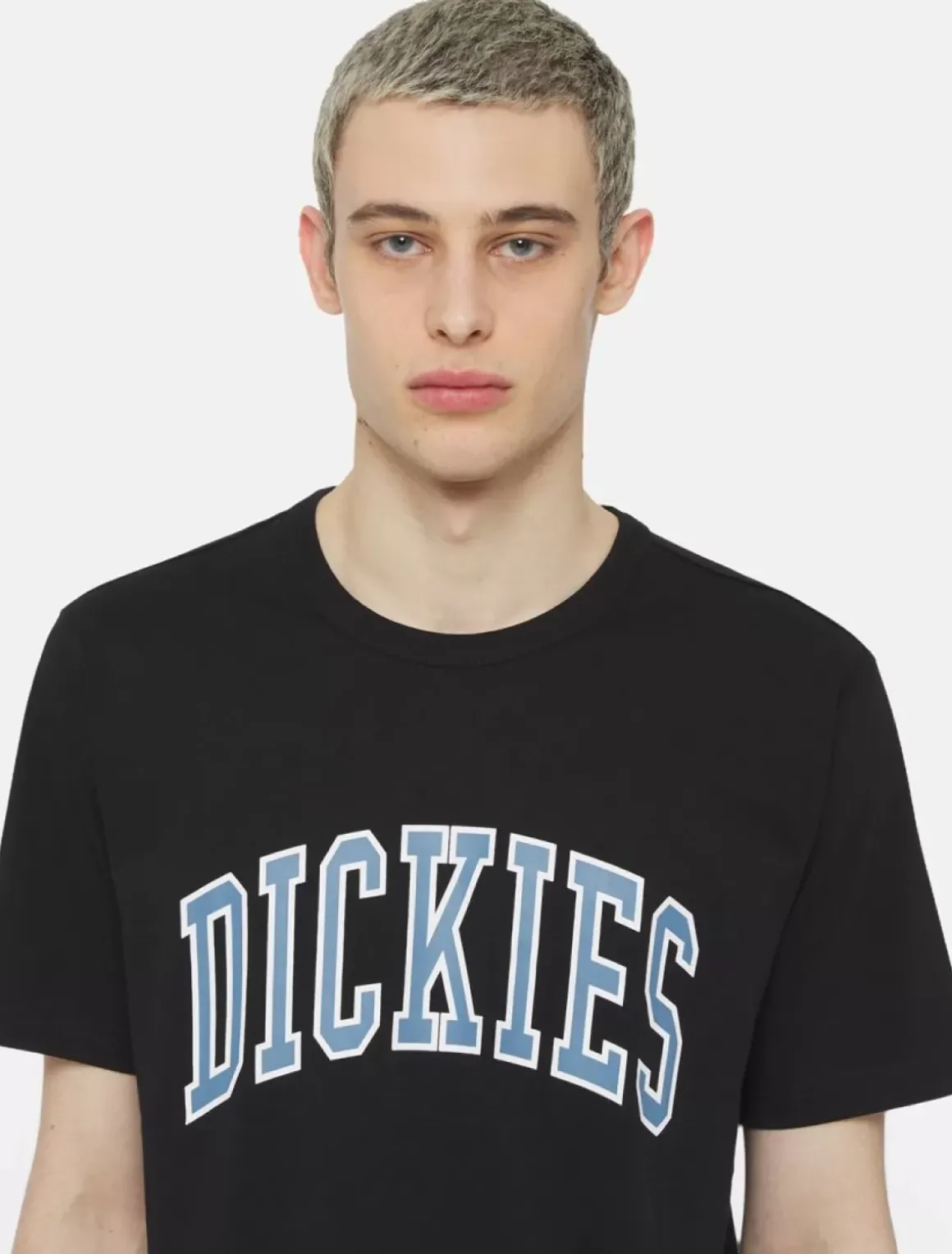 Dickies T-Shirts*Aitkin Short Sleeve T-Shirt