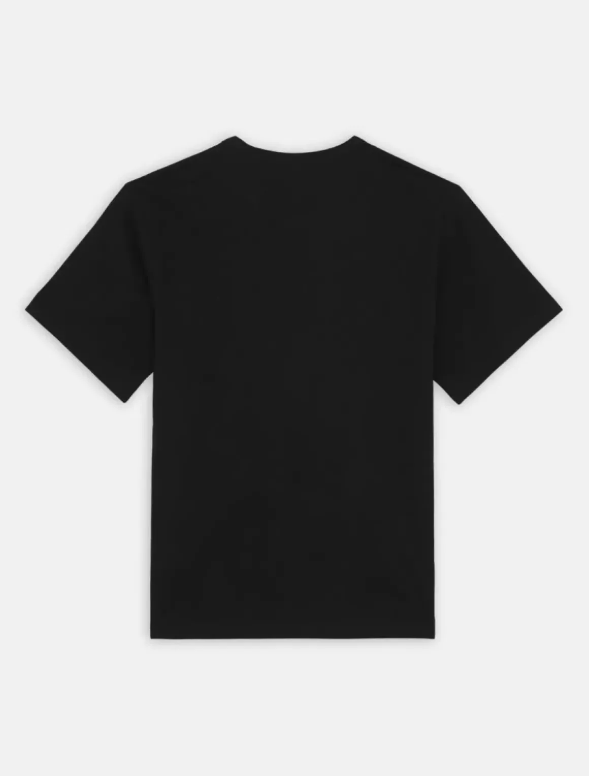 Dickies T-Shirts*Aitkin Short Sleeve T-Shirt