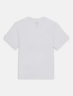 Dickies T-Shirts*Aitkin Short Sleeve T-Shirt