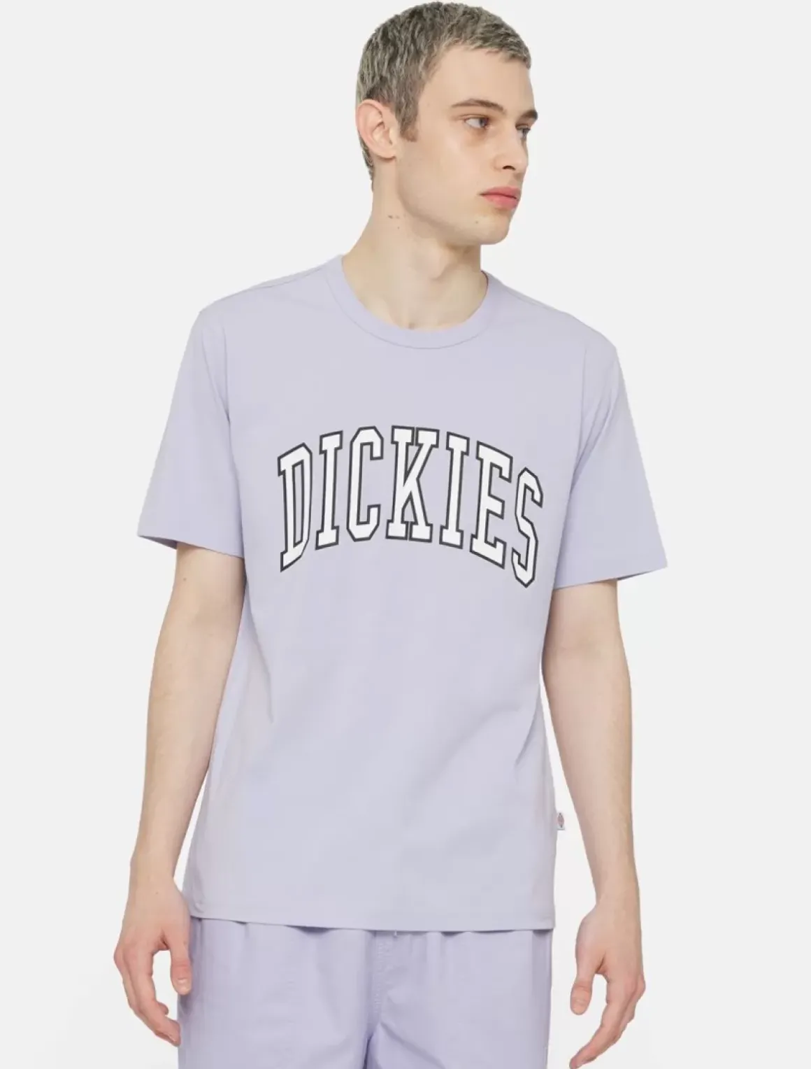 Dickies T-Shirts*Aitkin Short Sleeve T-Shirt