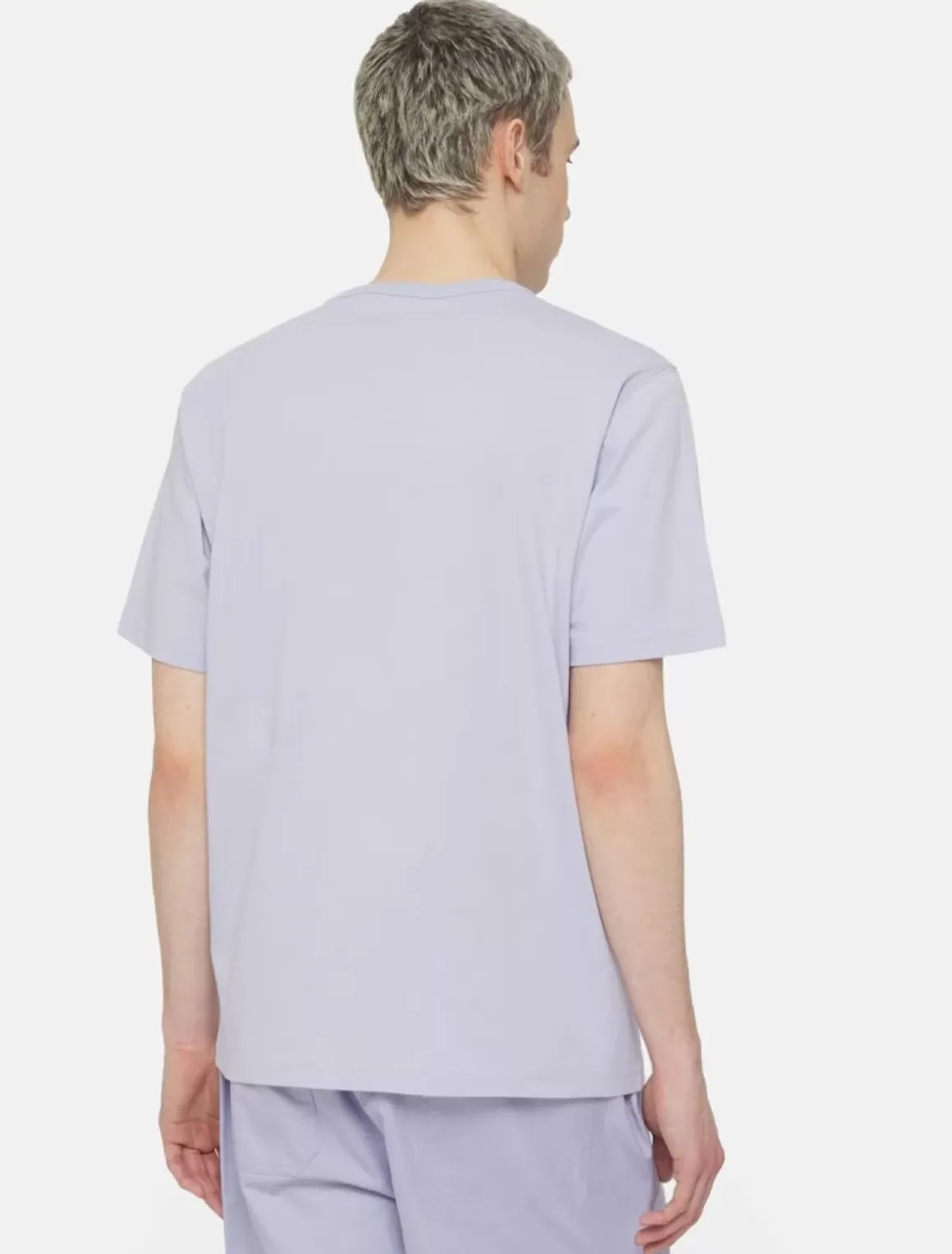 Dickies T-Shirts*Aitkin Short Sleeve T-Shirt