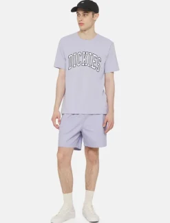 Dickies T-Shirts*Aitkin Short Sleeve T-Shirt