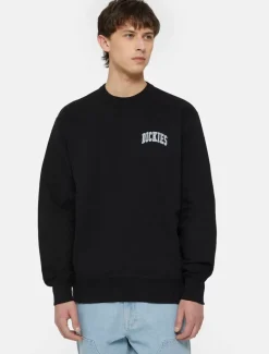 Dickies Sweatshirts & Hoodies*Aitkin Sweatshirt