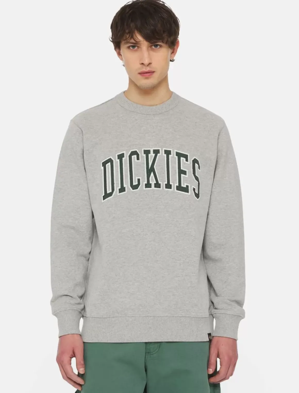 Dickies Sweatshirts & Hoodies*Aitkin Sweatshirt