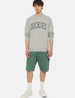 Dickies Sweatshirts & Hoodies*Aitkin Sweatshirt