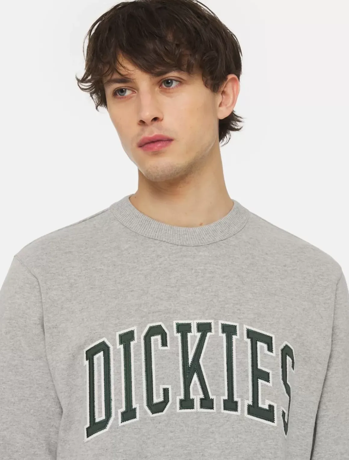 Dickies Sweatshirts & Hoodies*Aitkin Sweatshirt