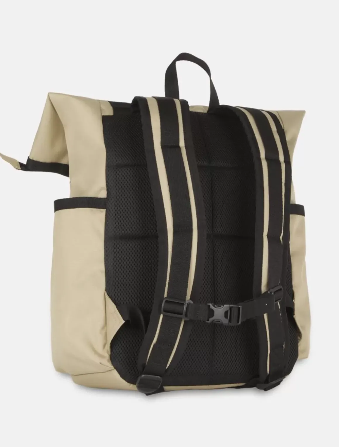 Women Dickies Bags & Backpacks|Bags & Backpacks*Ashville Roll Top Backpack