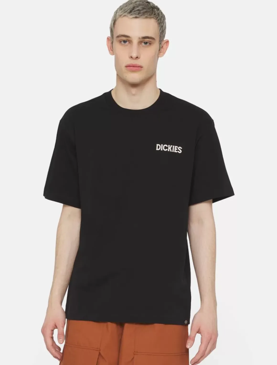 Dickies T-Shirts*Beach Short Sleeve T-Shirt
