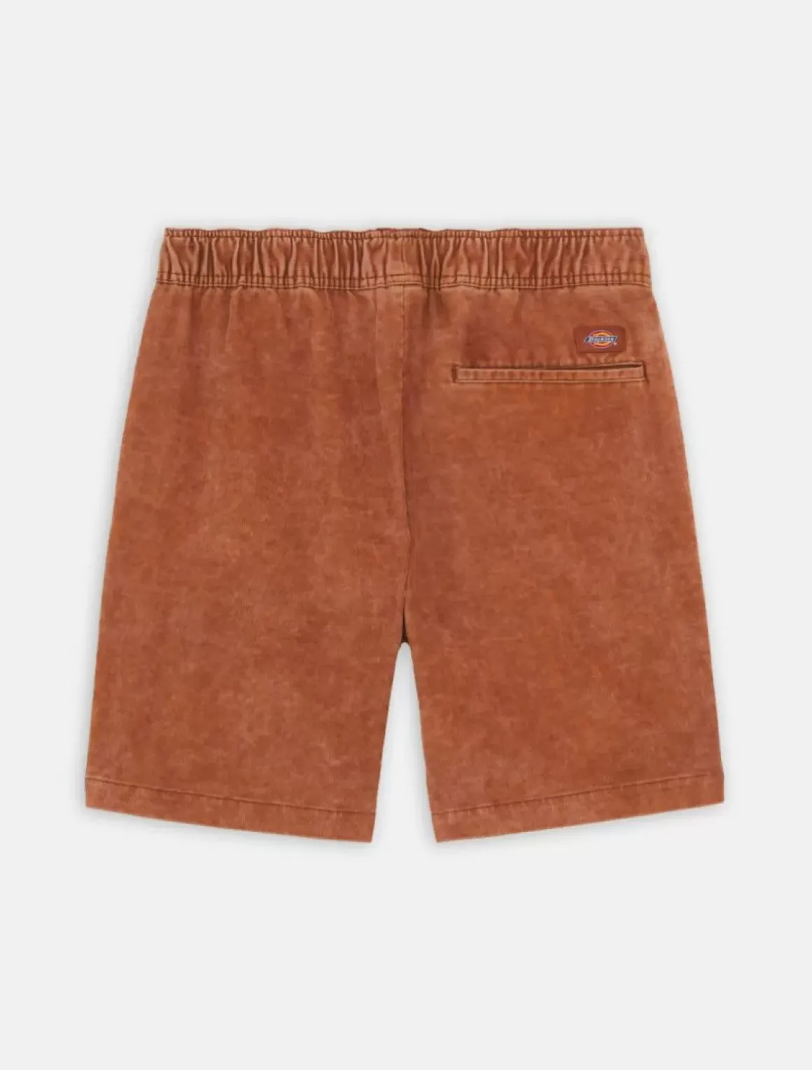 Dickies Shorts*Chase City Shorts