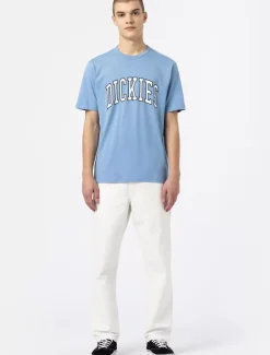 Dickies Trousers*Duck Canvas Carpenter Trousers