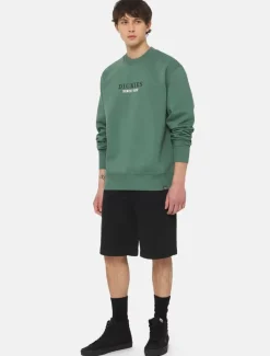 Dickies Shorts*Duck Canvas Chap Shorts