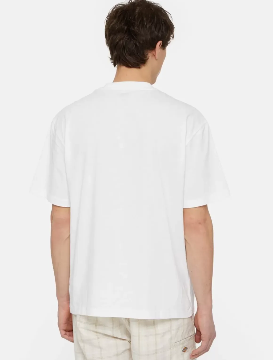 Dickies T-Shirts*Dumfries Short Sleeve T-Shirt