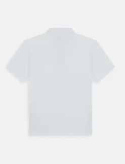 Dickies Work T-shirts*Everyday Polo Shirt