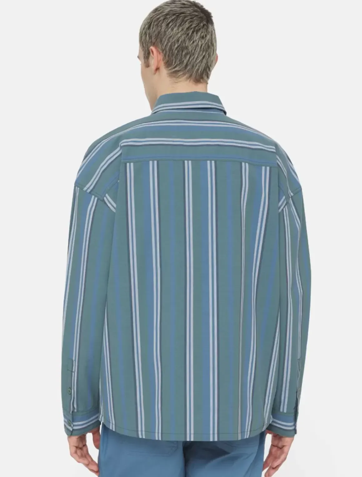 Dickies Shirts*Glade Spring Long Sleeve Shirt