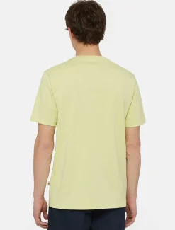 Dickies T-Shirts*Mapleton Short Sleeve T-Shirt