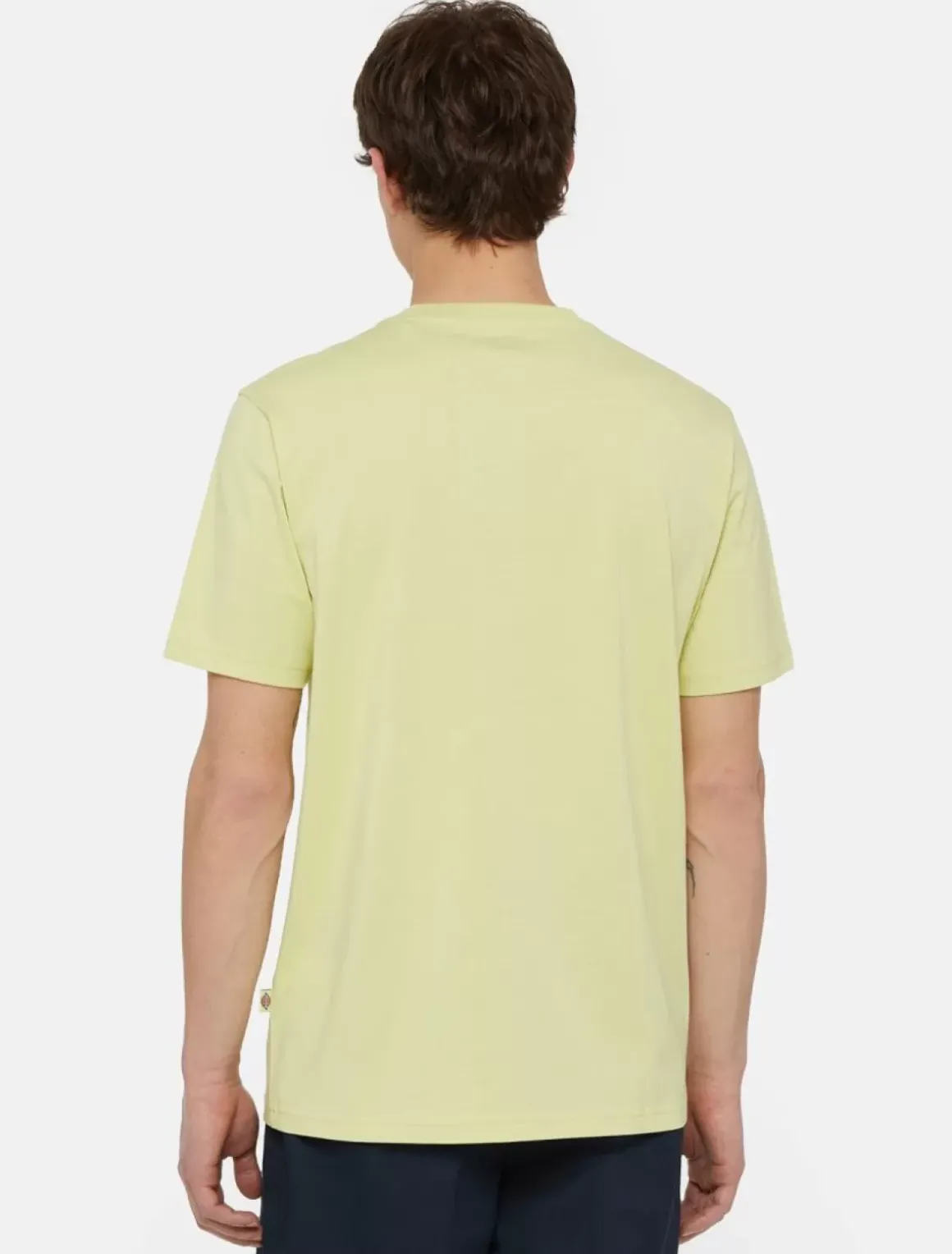 Dickies T-Shirts*Mapleton Short Sleeve T-Shirt