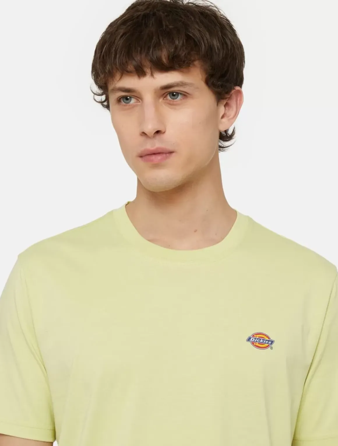 Dickies T-Shirts*Mapleton Short Sleeve T-Shirt