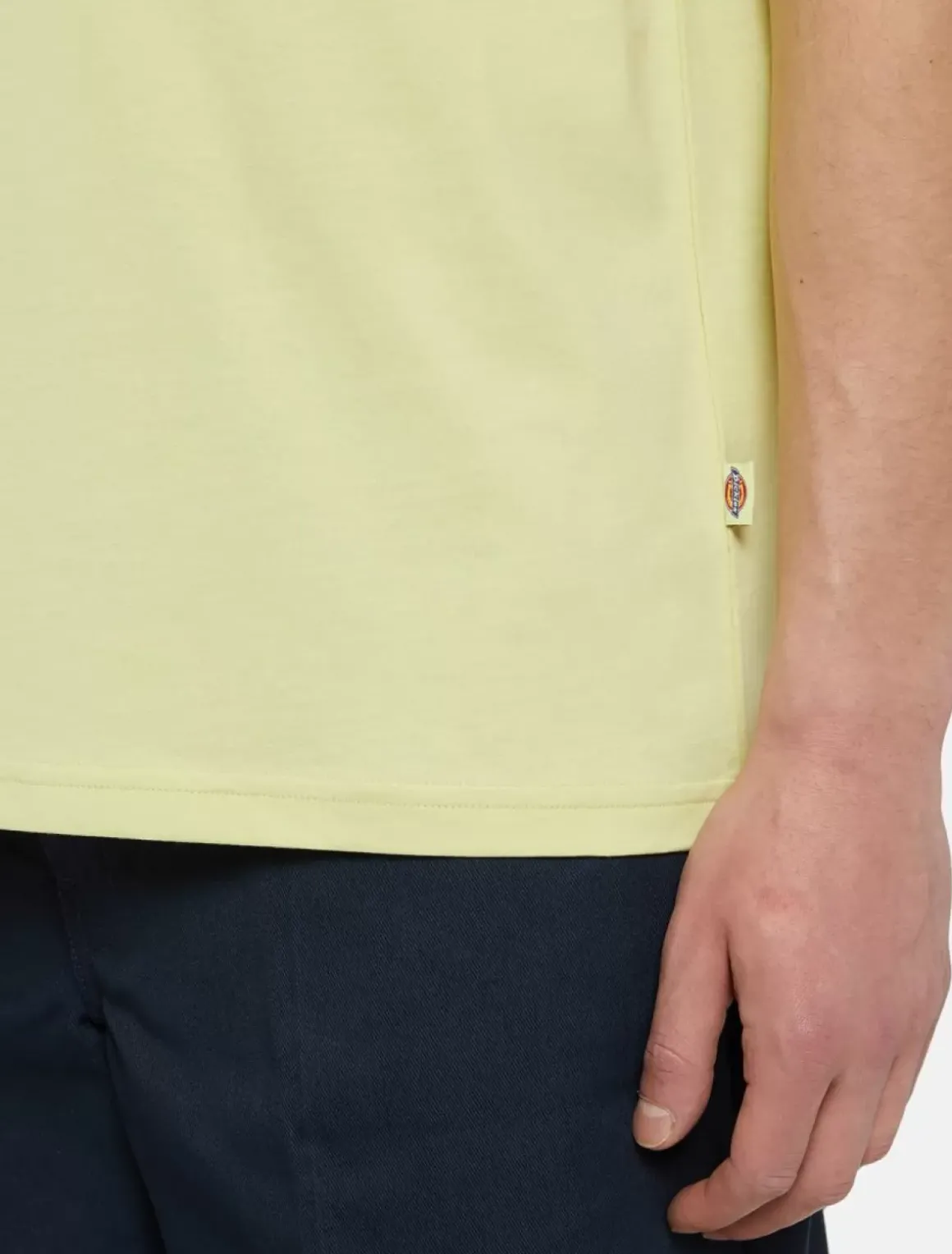 Dickies T-Shirts*Mapleton Short Sleeve T-Shirt