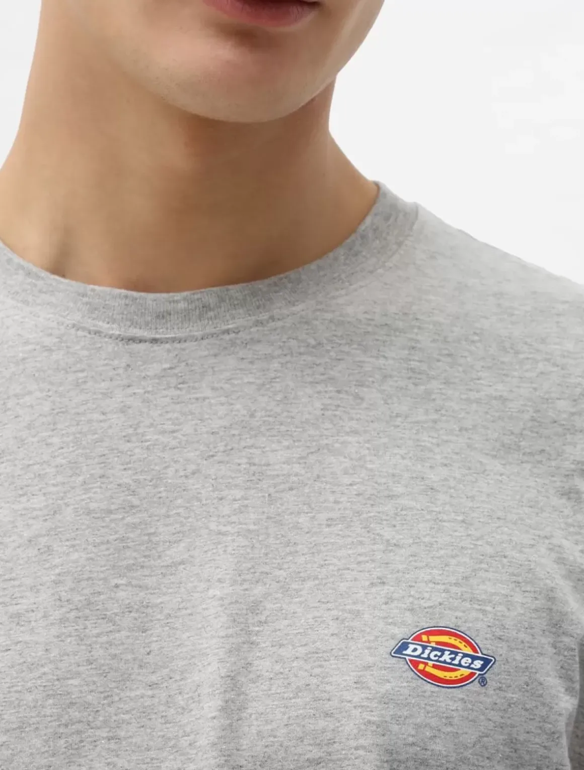 Dickies T-Shirts*Mapleton Short Sleeve T-Shirt