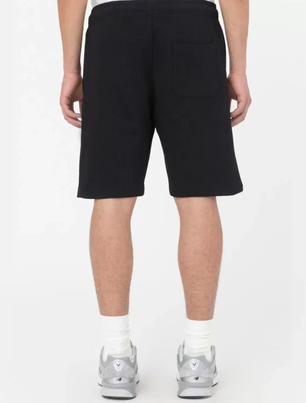 Dickies Shorts*Mapleton Shorts