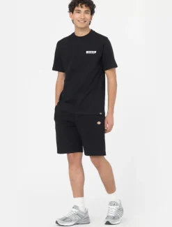 Dickies Shorts*Mapleton Shorts