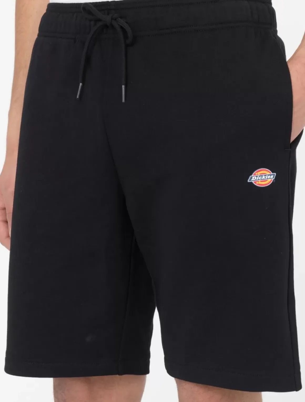 Dickies Shorts*Mapleton Shorts