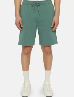 Dickies Shorts*Mapleton Shorts