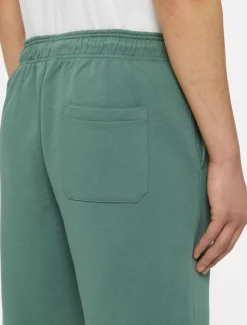 Dickies Shorts*Mapleton Shorts