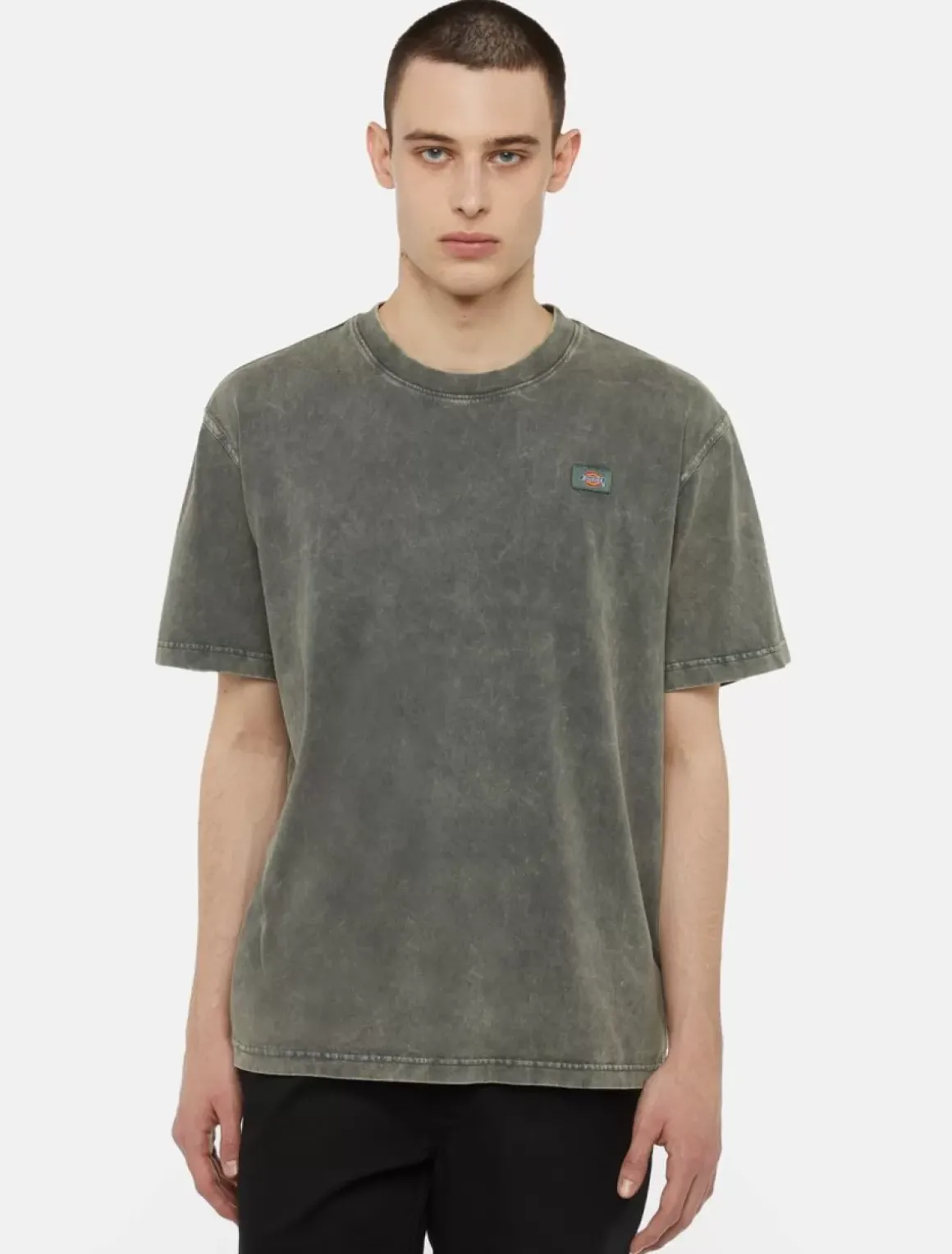 Dickies T-Shirts*Newington Short Sleeve T-Shirt