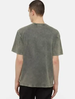 Dickies T-Shirts*Newington Short Sleeve T-Shirt