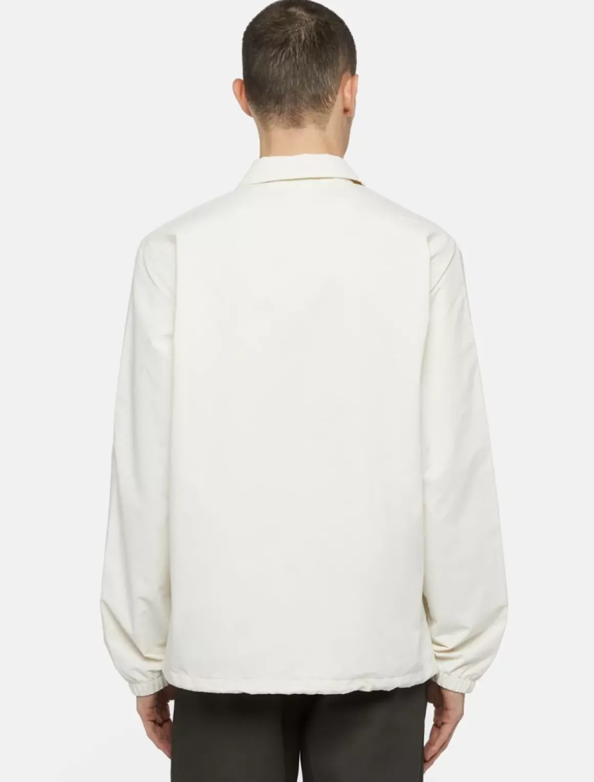 Dickies Jackets & Puffers*Oakport Coach Jacket