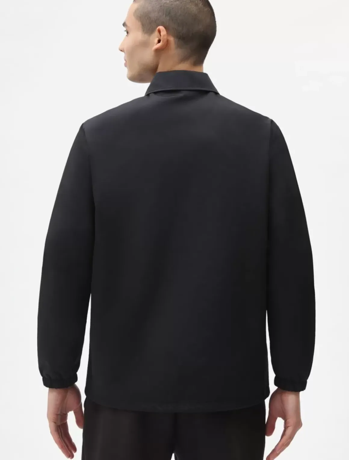 Dickies Jackets & Puffers*Oakport Coach Jacket
