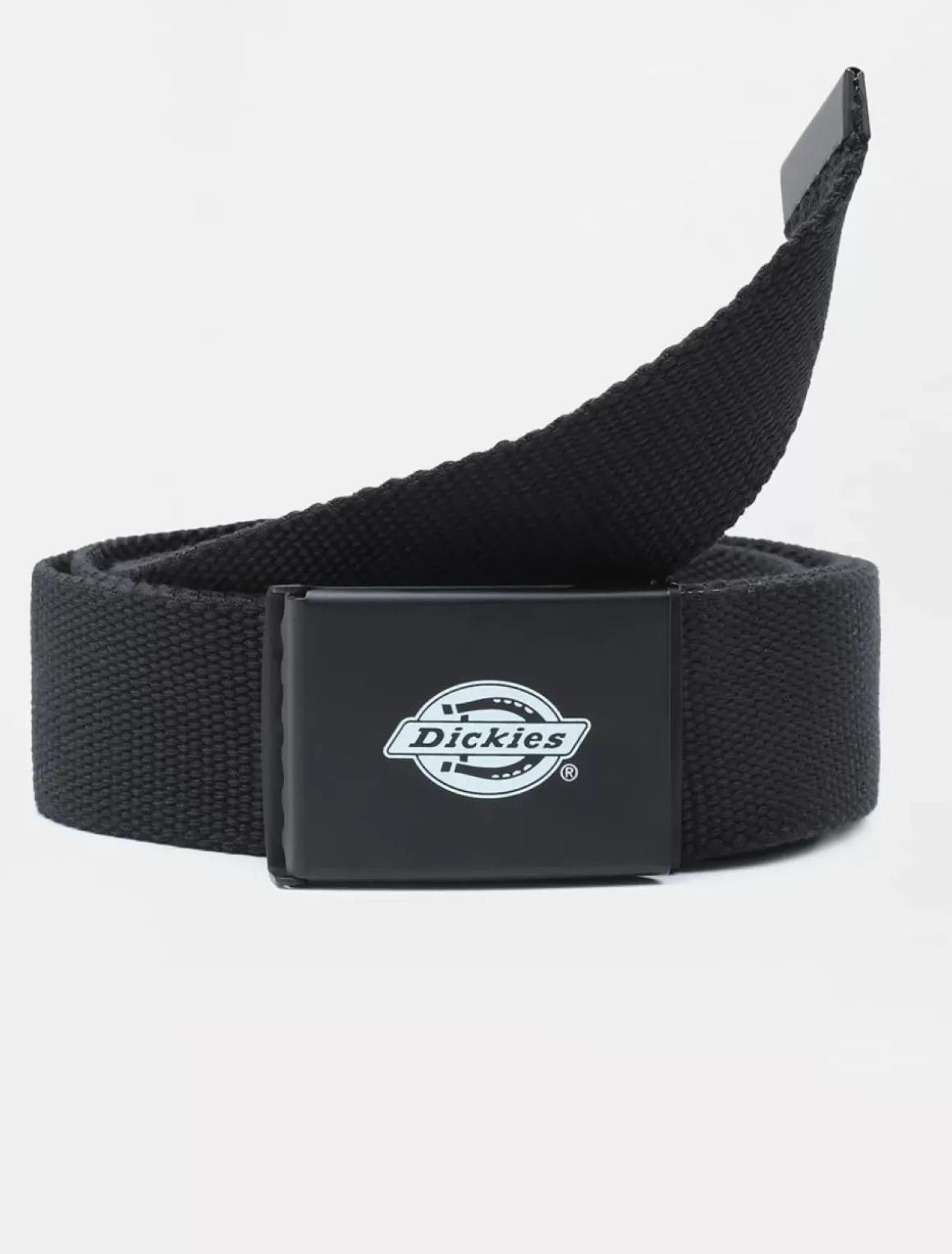 Women Dickies Belts|Belts*Orcutt Belt