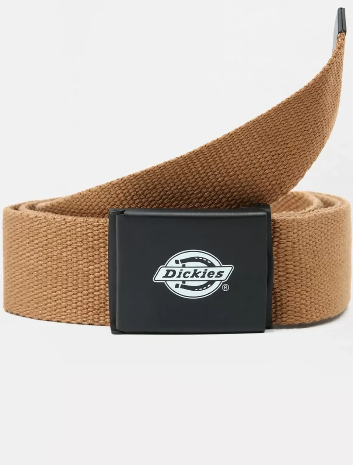 Women Dickies Belts|Belts*Orcutt Belt