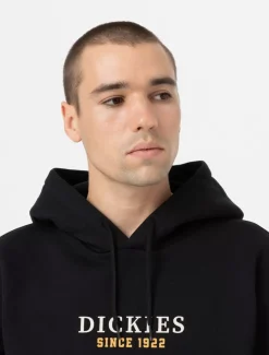 Dickies Sweatshirts & Hoodies*Park Hoodie