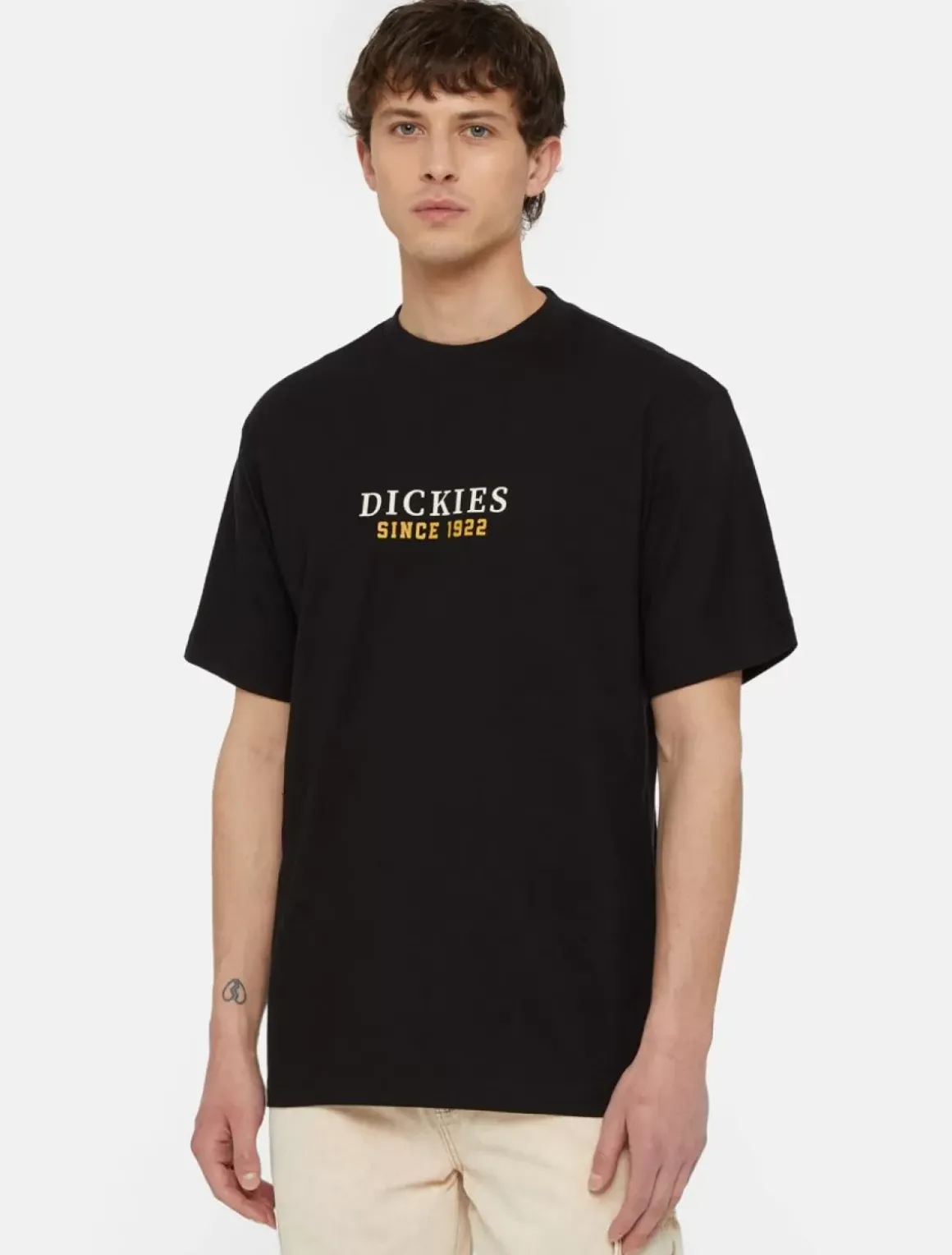 Dickies T-Shirts*Park Short Sleeve T-Shirt