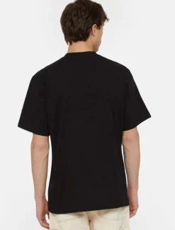 Dickies T-Shirts*Park Short Sleeve T-Shirt