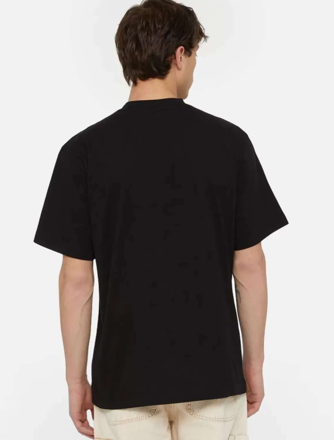 Dickies T-Shirts*Park Short Sleeve T-Shirt