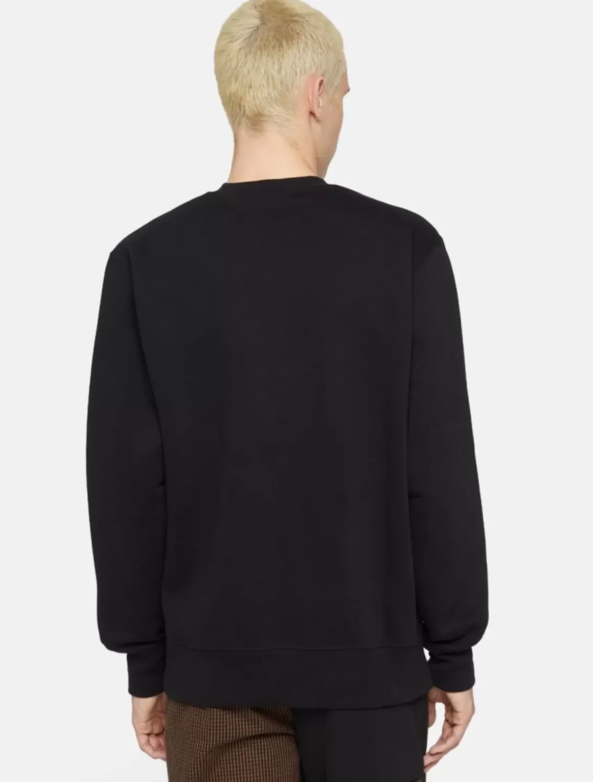 Dickies Sweatshirts & Hoodies*Park Sweatshirt