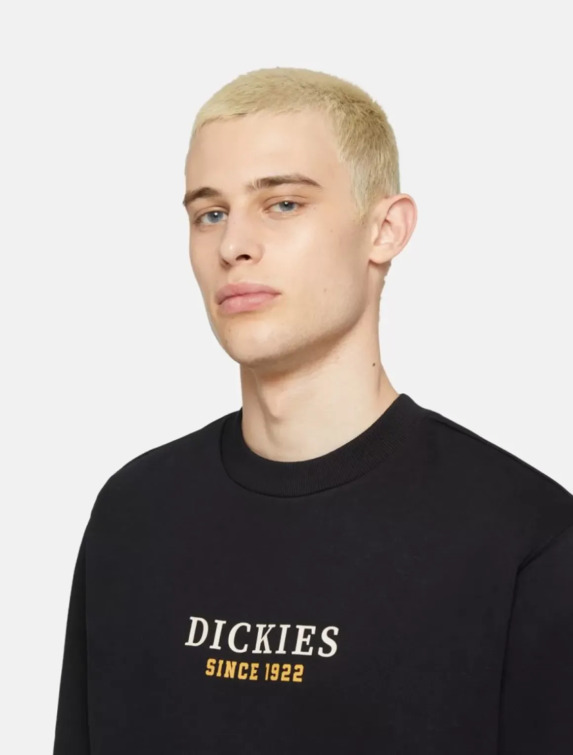 Dickies Sweatshirts & Hoodies*Park Sweatshirt