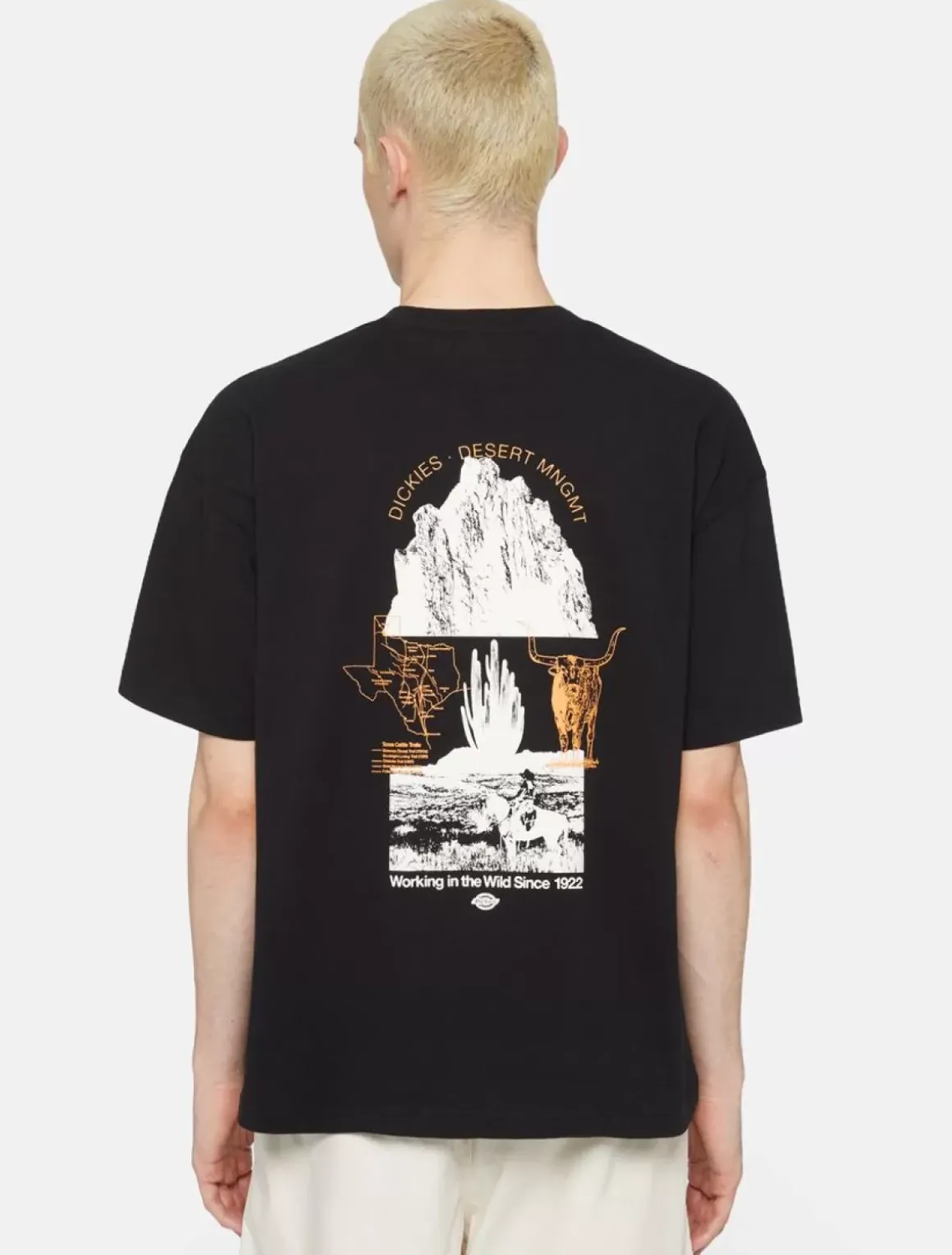Dickies T-Shirts*Pearisburg Short Sleeve T-Shirt