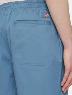 Dickies Shorts*Pelican Rapids Shorts