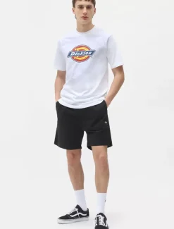 Dickies Shorts*Pelican Rapids Shorts