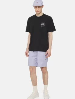 Dickies Shorts*Pelican Rapids Shorts