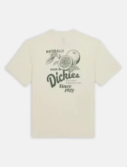 Dickies T-Shirts*Raven Short Sleeve T-Shirt