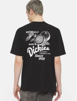 Dickies T-Shirts*Raven Short Sleeve T-Shirt